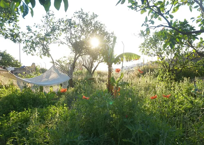 Biofinca Casa El Riego 3*