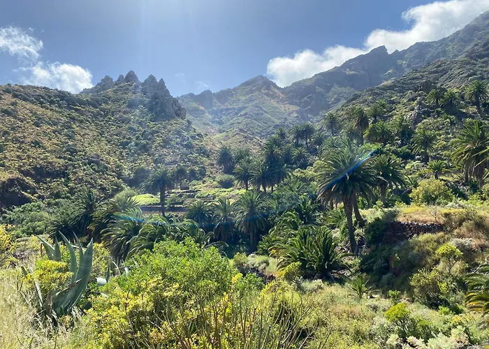 Biofinca Casa El Riego Gæstehus 3*